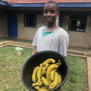 Mali dom - Supermarket dobrote - Banane